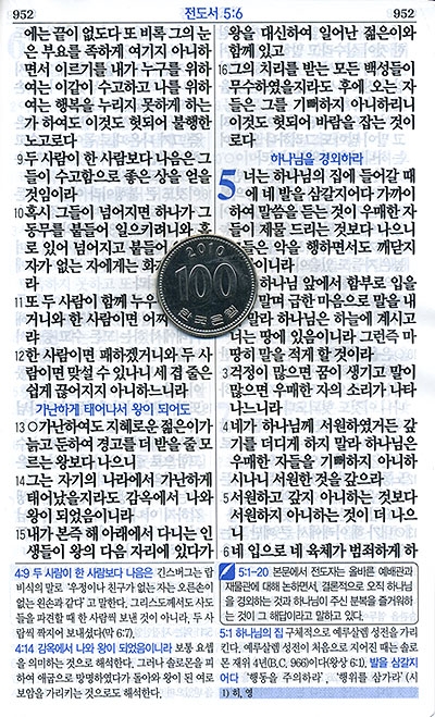 나눔포켓성경 개역개정판 시편 · 잠언 · 전도서 대/비닐/D브라운/휴대용분책성경 (93203)