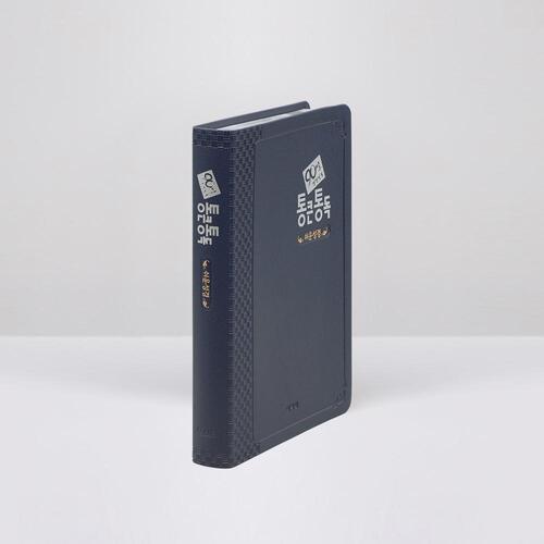 90일 통큰통독 (쉬운성경판) 대 단본 네이비 / 5332262