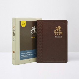 90일 통큰통독 (쉬운성경판) 대 단본 다크브라운 / 5332242
