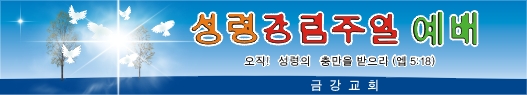 성령강림절현수막-5번(사이즈500*90)