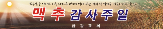 맥추감사절현수막-2번(사이즈500*90)