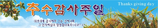 추수감사절현수막-9번(사이즈500*90)