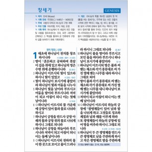 [ 주석없는 ] 큰글자 성경전서 개역개정 새찬송가 NKR73ESB/대/합본/색인/지퍼/버건디 (17406)
