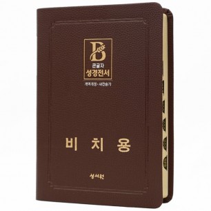 [기획성경] (비치용 기본 인쇄) 성경전서 NKR73STH (개역개정/새찬송가/무지퍼/색인/중/초코) (16826)