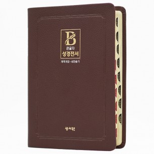 [기획성경] 비치용 성경 NKR73STH (개역개정/새찬송가/무지퍼/색인/중/초코) (16818)