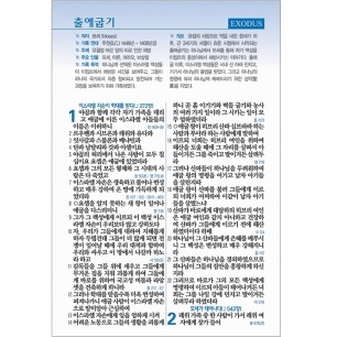 [기획성경] 비치용 성경 NKR73STH (개역개정/새찬송가/무지퍼/색인/중/초코) (16818)