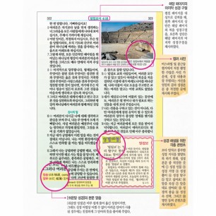 DK 일러스트 컬러 쉬운말성경 (창세기) 소/단본/무색인/그린(13159)
