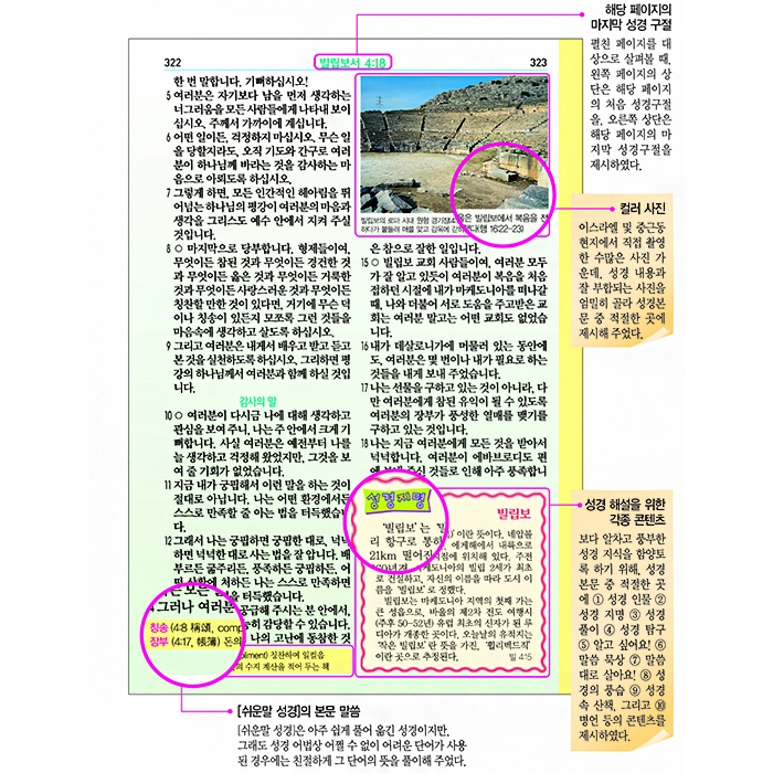 DK 일러스트 컬러 쉬운말 성경 소/ 단본/ 찬송가 없음/ 비닐/(13151)