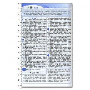 공동구매#17 New 애니메이션 바이블 개역개정 해설새찬송가/특미니/합본/색인/지퍼/핑크(14707) (케이스없음)