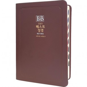 비치용 베스트성경 개역개정 새찬송가 /중/합본/색인/무지퍼/초코(11354)
