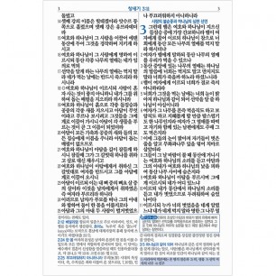 비치용 베스트성경 개역개정 새찬송가 /중/합본/색인/무지퍼/초코(비치용 기본인쇄) (11353)