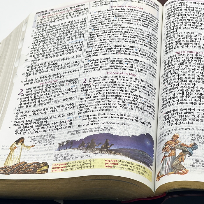 공동구매#02 개정 NIV 컬러 한영해설성경 개역개정판 특소/단본/색인/무지퍼/초코(14754) (케이스없음)