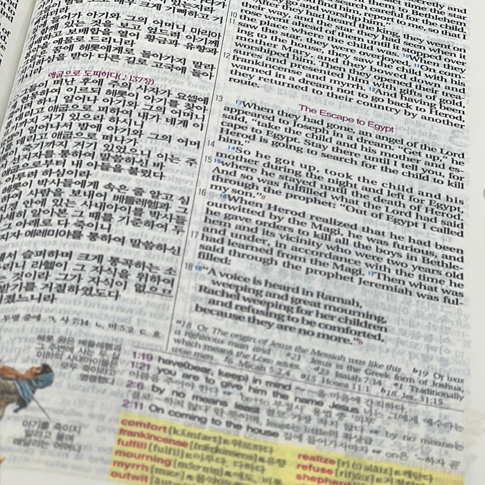 공동구매#02 개정 NIV 컬러 한영해설성경 개역개정판 특소/단본/색인/무지퍼/초코(14754) (케이스없음)