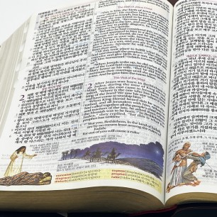 공동구매#02 개정 NIV 컬러 한영해설성경 개역개정판 특소/단본/색인/무지퍼/초코(14754) (케이스없음)